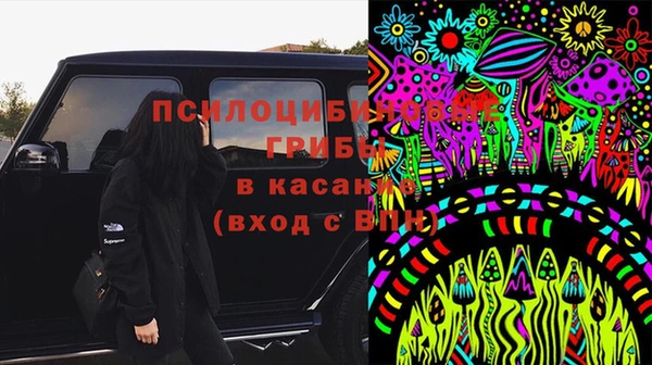 прущий лед Богданович