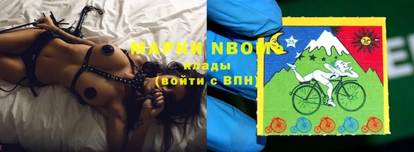 шишки Богородицк