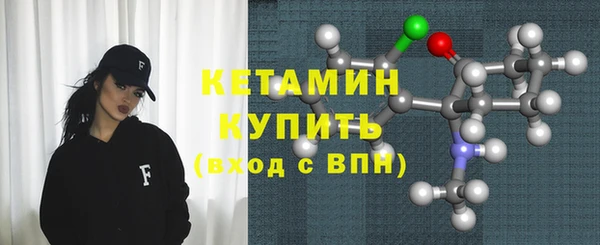 шишки Богородицк