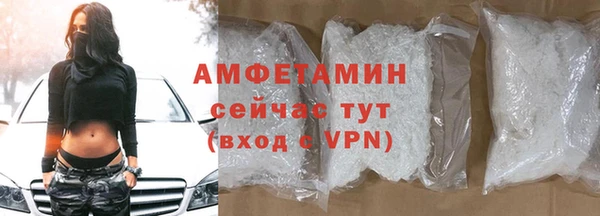 шишки Богородицк