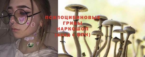 прущий лед Богданович