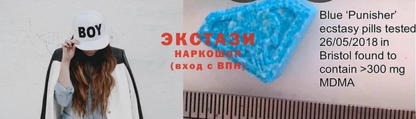 шишки Богородицк