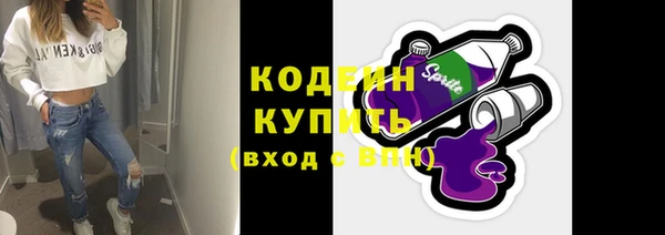 прущий лед Богданович