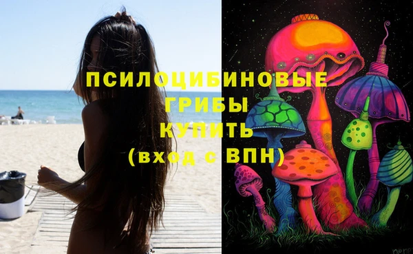 шишки Богородицк