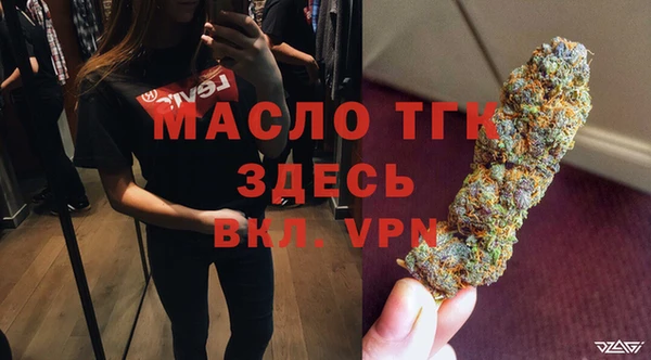 прущий лед Богданович