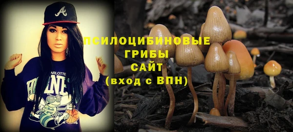 прущий лед Богданович