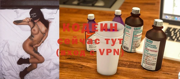 шишки Богородицк