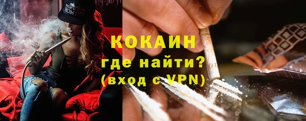 прущий лед Богданович