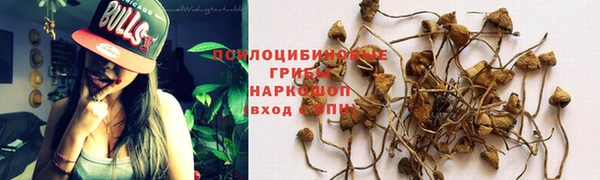 прущий лед Богданович