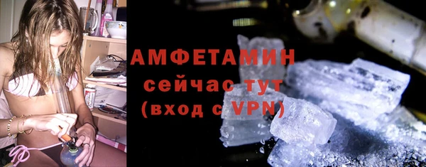 шишки Богородицк
