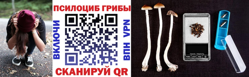 Псилоцибиновые грибы прущие грибы  Чита 